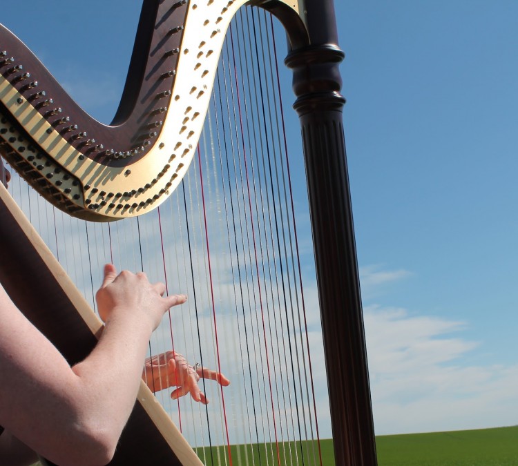 Garcia Music Studio - Harp Lessons (Lehi,&nbspUT)